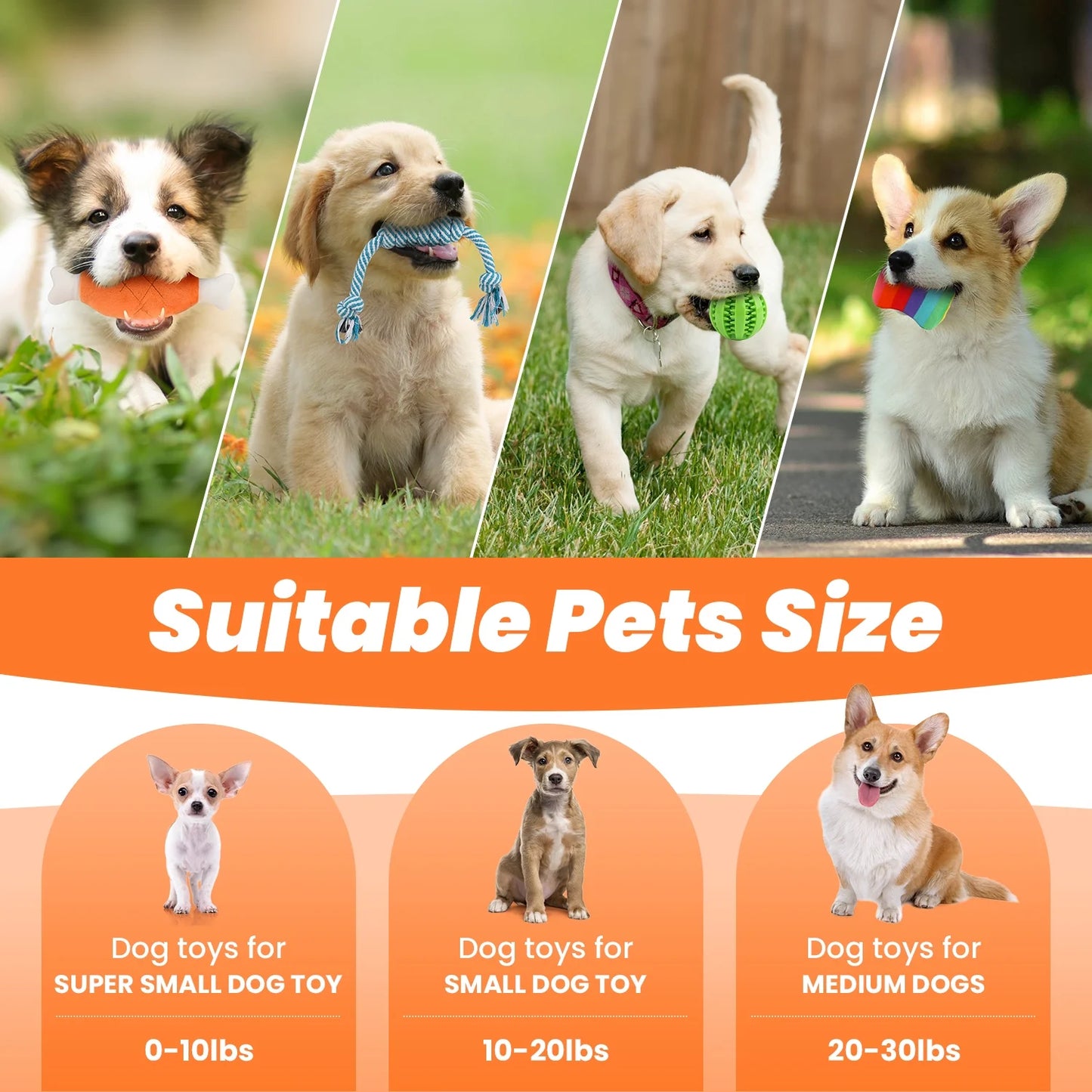 Premium 10-Pack Dog Toy Set for Small Breeds: Plush Squeaky Toys, Chew Toys, Treat Balls, and Rope Toys for Teething and Training