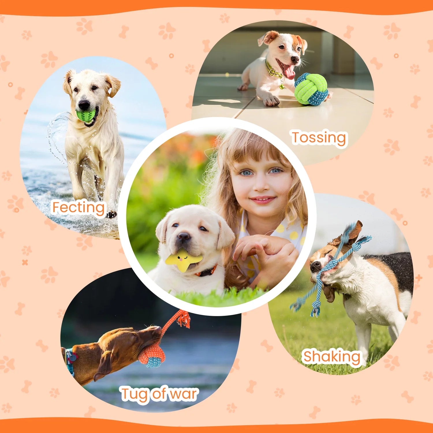 Premium 10-Pack Dog Toy Set for Small Breeds: Plush Squeaky Toys, Chew Toys, Treat Balls, and Rope Toys for Teething and Training