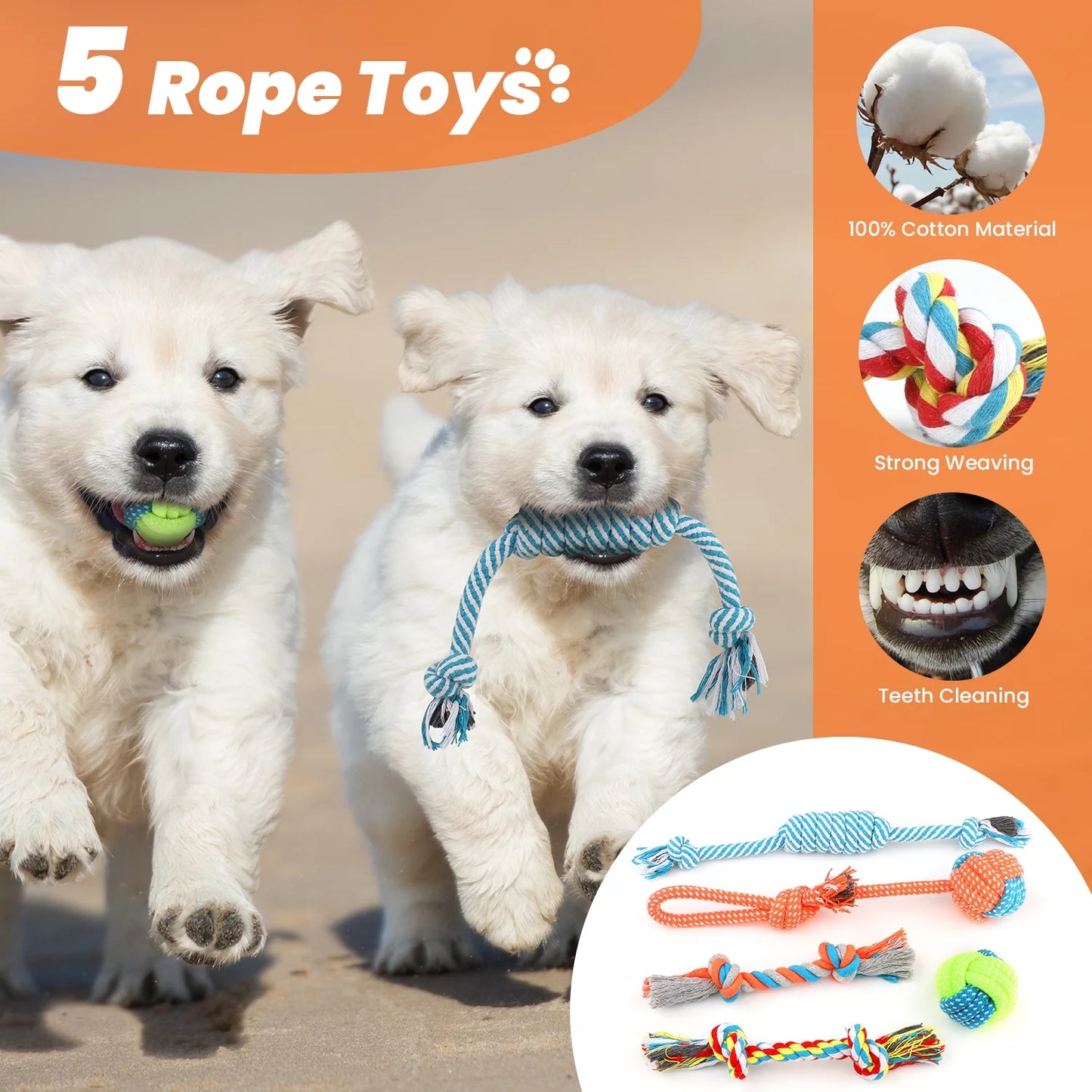 Premium 10-Pack Dog Toy Set for Small Breeds: Plush Squeaky Toys, Chew Toys, Treat Balls, and Rope Toys for Teething and Training