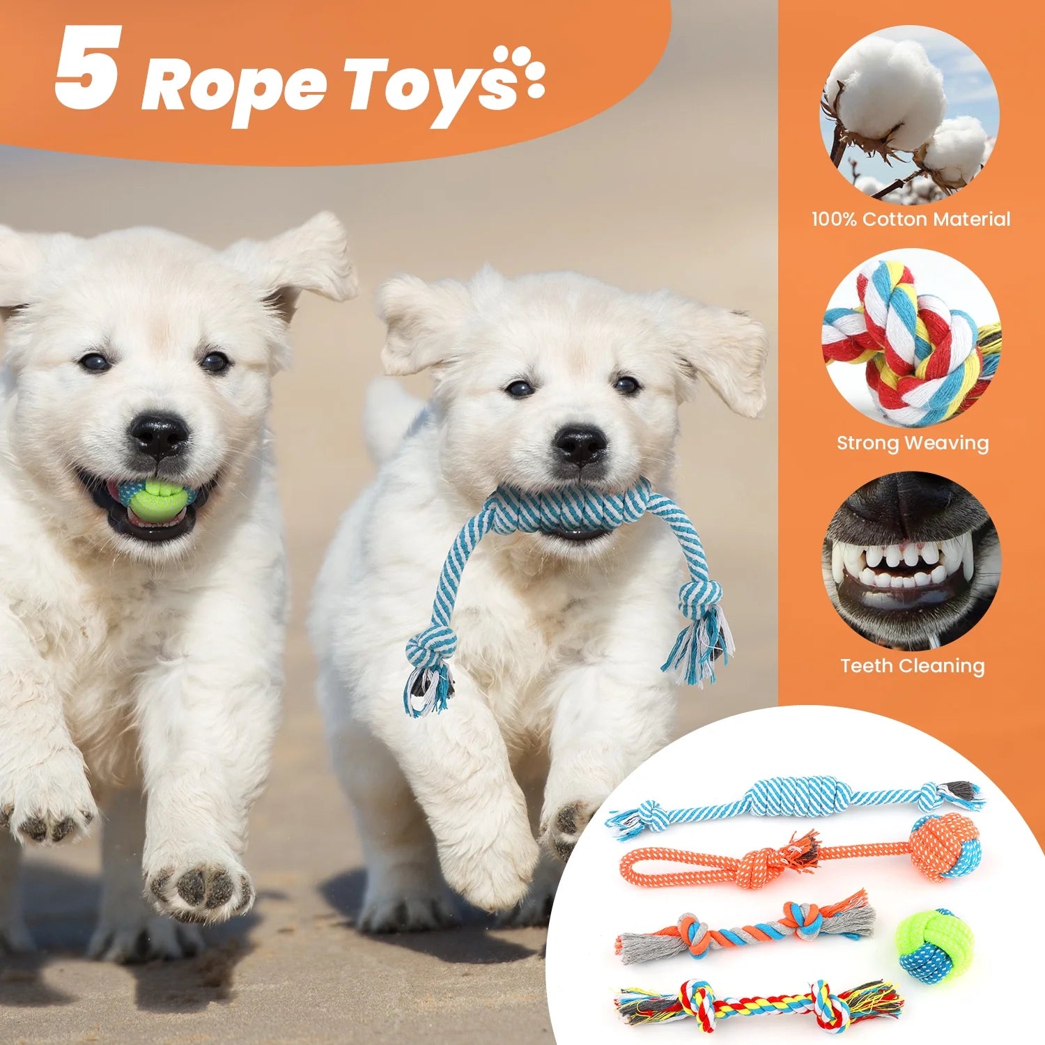 Premium 10-Pack Dog Toy Set for Small Breeds: Plush Squeaky Toys, Chew Toys, Treat Balls, and Rope Toys for Teething and Training
