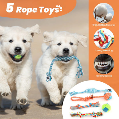 Premium 10-Pack Dog Toy Set for Small Breeds: Plush Squeaky Toys, Chew Toys, Treat Balls, and Rope Toys for Teething and Training